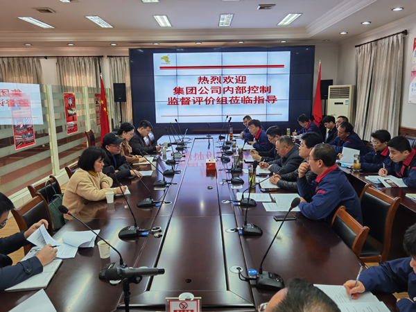 集團公司到公司開展內(nèi)控自評檢查工作 集團公司到公司開展內(nèi)控自評檢查工作